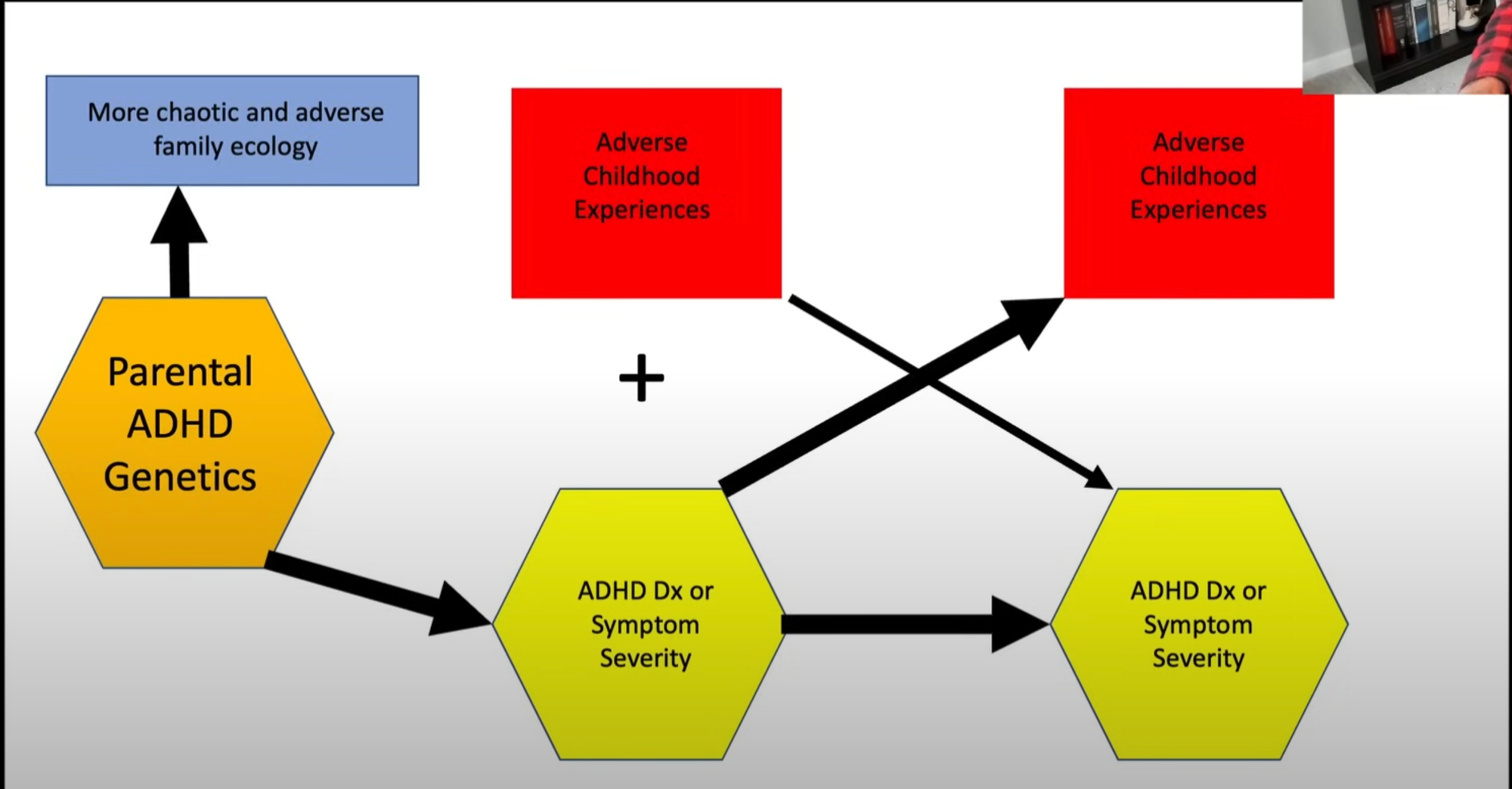 Relația dintre genetică, ADHD, severitatea simtpomelor și expriențele adverse traumatice din copilărie