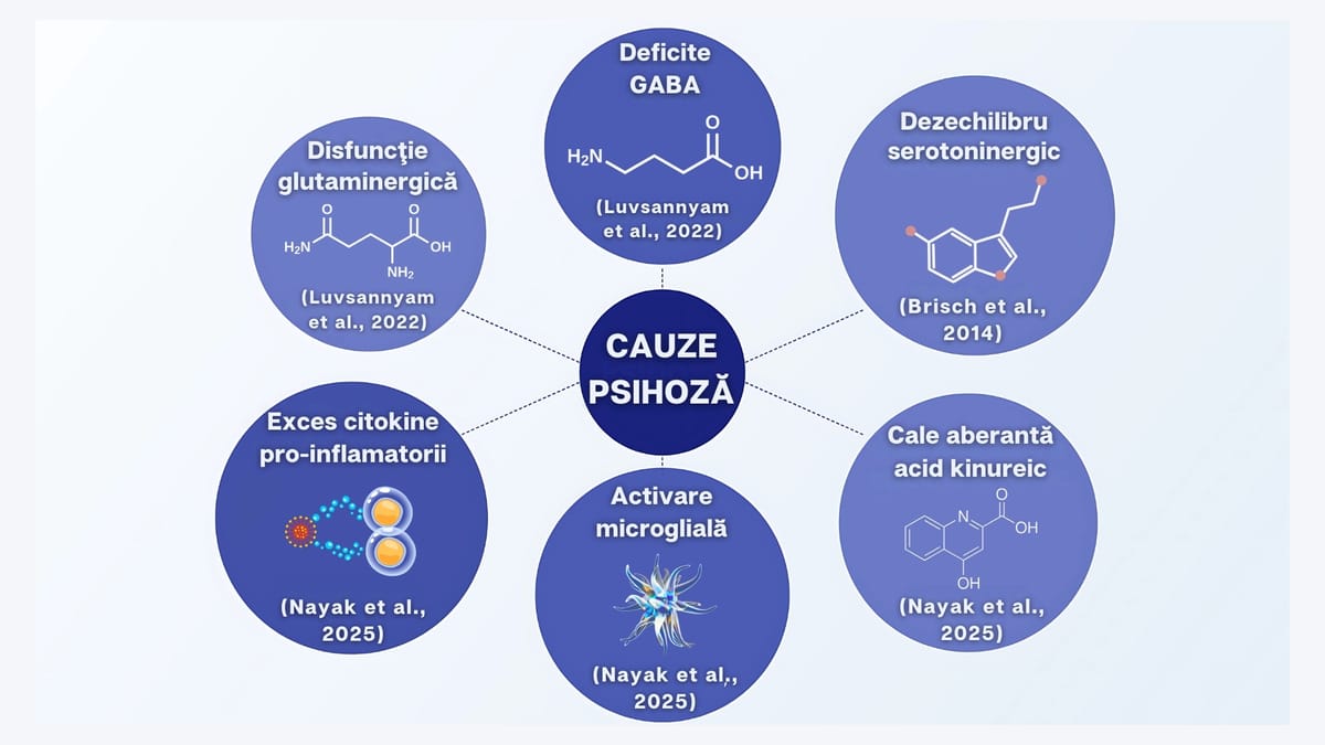 Cauzele multi-factoriale ale psihozei și schizofreniei, care se diversifică cu mult dincolo excesul de dopamină