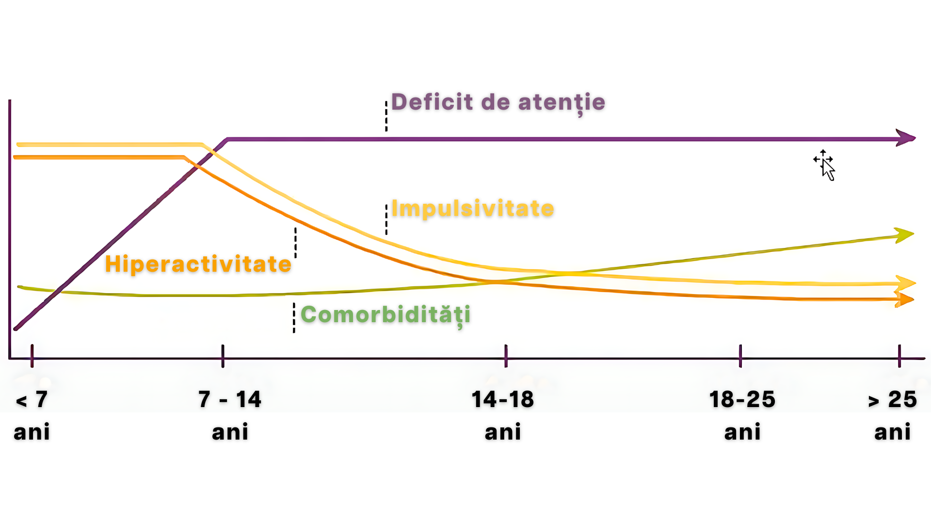 Evoluția trăsăturilor ADHD de-a lungul vieții: Deficit de atenție, Hiperactivitate, Impulsivitate, Comorbidități