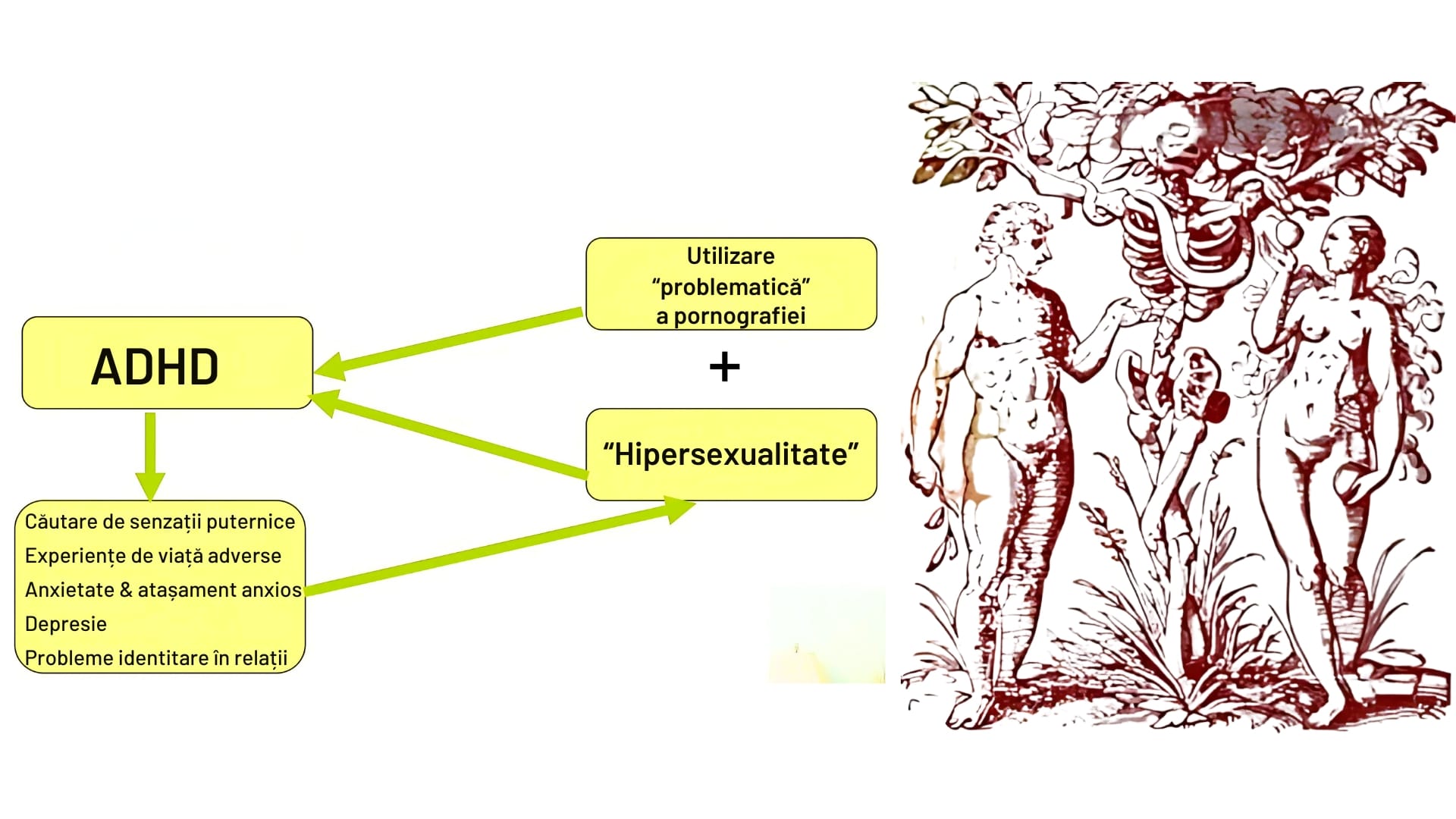 ADHD-ul, hipersexualitatea și utilizarea problematică a pornografiei